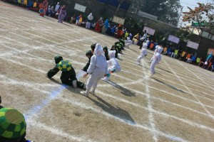 1781534 287378448053649 570610911 o