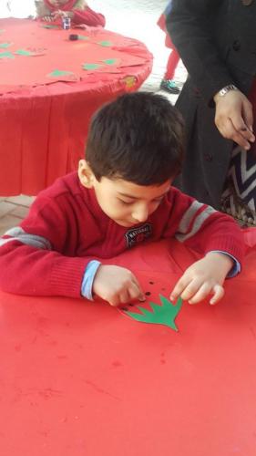 23783610 784024761722346 8195566332282691494 o