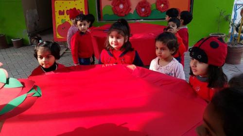 23826230 784027531722069 4653257130358667314 o