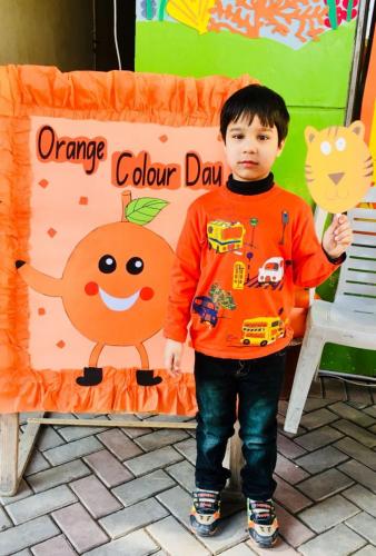 Orange Color Day 2017